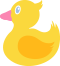 アヒル